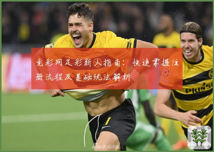 竞彩网足彩新人指南：快速掌握注册流程及基础玩法解析