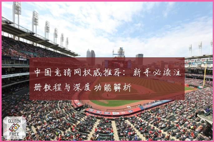 中国竞猜网权威推荐：新手必读注册教程与深度功能解析